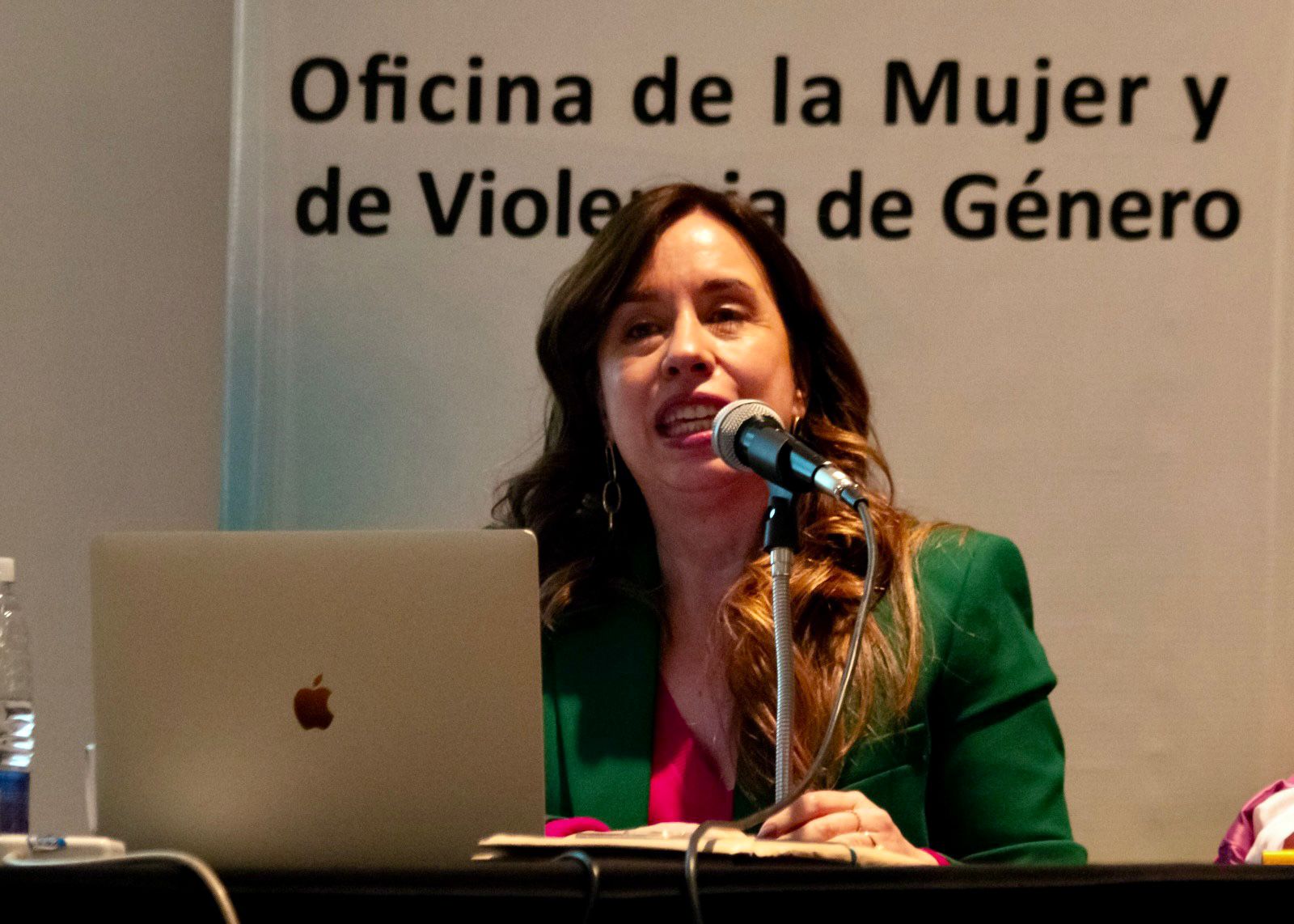 Ana Casal: “Poderes Judiciales Libres de Violencia”
